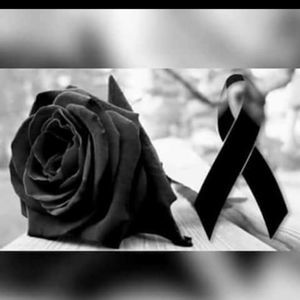 Meet your Posher, Jose